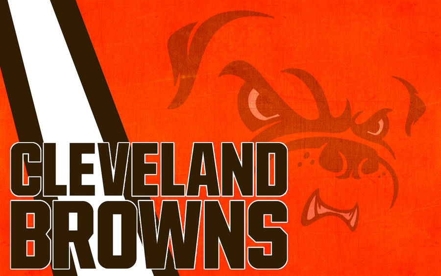 Arizona Cardinals: A Fractured Path to Relevance